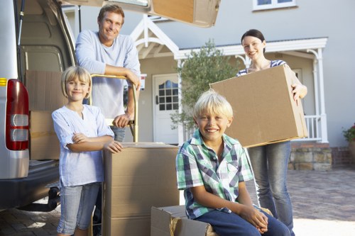Flexible Balham moving support for boxes and furniture